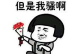 律师讨债业务风险代理：解析其优势与风险