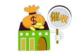 革吉讨债公司收费标准：全面解析与案例分析