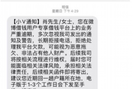 郴州清债公司排名前十名